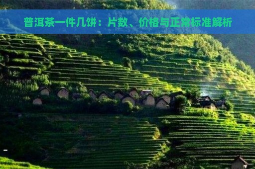 普洱茶一件几饼：片数、价格与正常标准解析