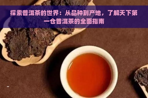 探索普洱茶的世界：从品种到产地，了解天下第一仓普洱茶的全面指南