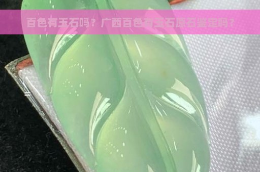 百色有玉石吗？广西百色有玉石原石鉴定吗？