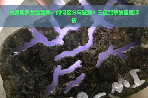 白绿紫罗兰色翡翠：如何区分与鉴别？三色翡翠的品质评估