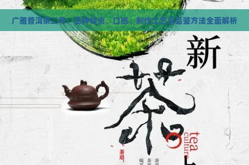 广雅普洱茶二号：品种特点、口感、制作工艺及品鉴方法全面解析