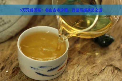 5万元普洱茶：名山古寺珍藏，品鉴高端茶艺之道