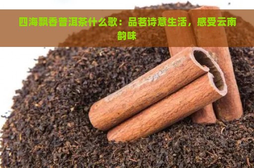 四海飘香普洱茶什么歌：品茗诗意生活，感受云南韵味