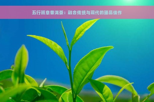 五行班章普洱茶：融合传统与现代的臻品佳作