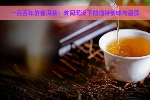 一品百年的普洱茶：时间沉淀下的独特韵味与品质