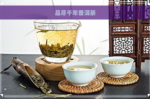 品尽千年普洱茶