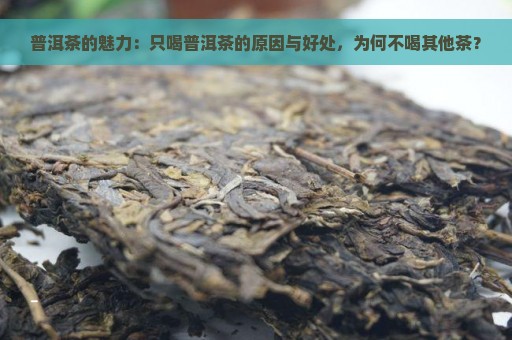 普洱茶的魅力：只喝普洱茶的原因与好处，为何不喝其他茶？