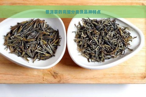 普洱茶的完整分类及品种特点