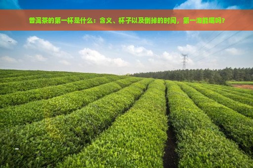 普洱茶的第一杯是什么：含义、杯子以及倒掉的时间，第一泡能喝吗？