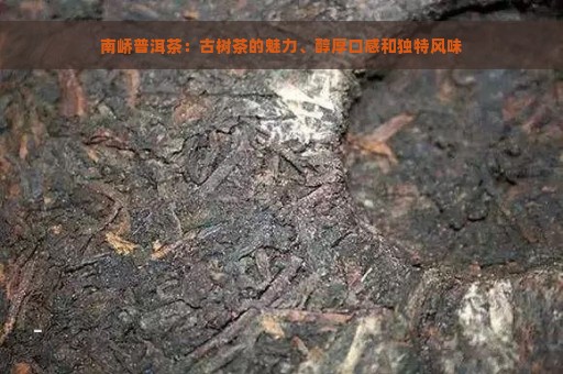 南峤普洱茶：古树茶的魅力、醇厚口感和独特风味