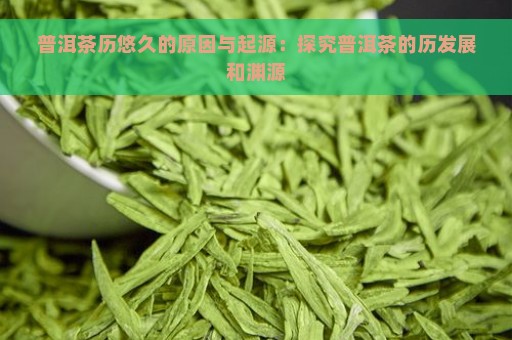 普洱茶历悠久的原因与起源：探究普洱茶的历发展和渊源