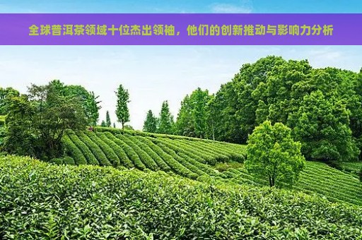 全球普洱茶领域十位杰出领袖，他们的创新推动与影响力分析