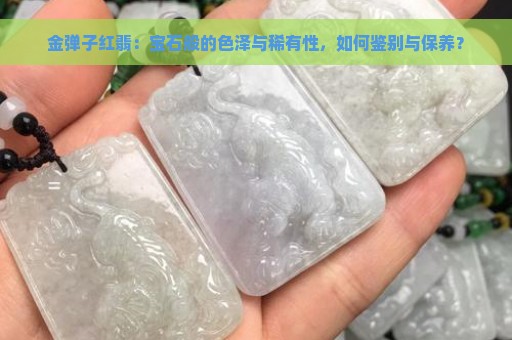 金弹子红翡：宝石般的色泽与稀有性，如何鉴别与保养？