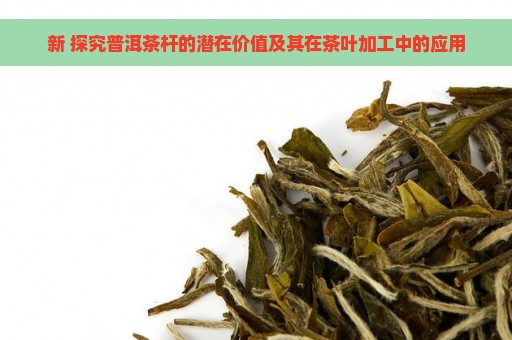 新 探究普洱茶杆的潜在价值及其在茶叶加工中的应用