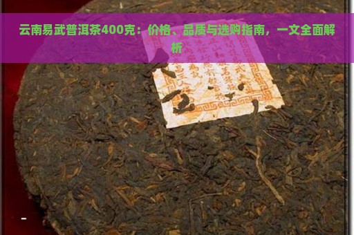 云南易武普洱茶400克：价格、品质与选购指南，一文全面解析