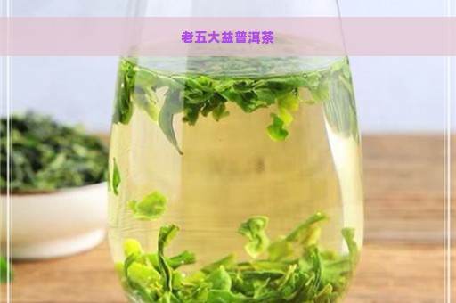 老五大益普洱茶