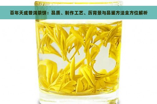 百年天成普洱茶饼：品质、制作工艺、历背景与品鉴方法全方位解析