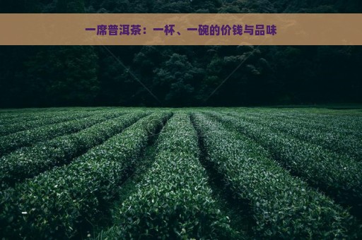 一席普洱茶：一杯、一碗的价钱与品味