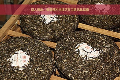 深入浅出：普洱茶冲泡技巧与口感优化指南