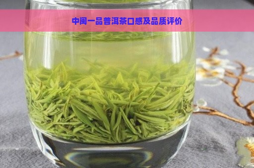 中闽一品普洱茶口感及品质评价