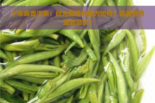 十年陈普洱茶：时光磨砺的魅力如何？是否仍然适合品饮？