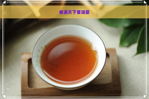 誉满天下普洱茶