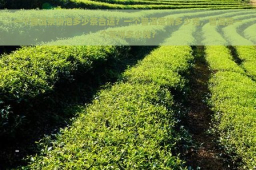 一个普洱茶饼泡多少茶合适？一个普洱茶饼多少克，普洱茶一个茶饼多少钱？