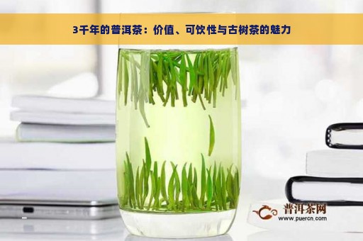 3千年的普洱茶：价值、可饮性与古树茶的魅力