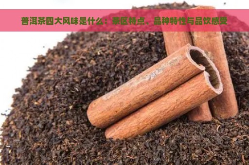 普洱茶四大风味是什么：茶区特点、品种特性与品饮感受