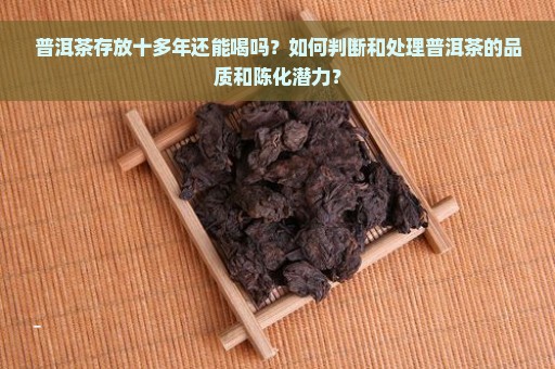 普洱茶存放十多年还能喝吗？如何判断和处理普洱茶的品质和陈化潜力？