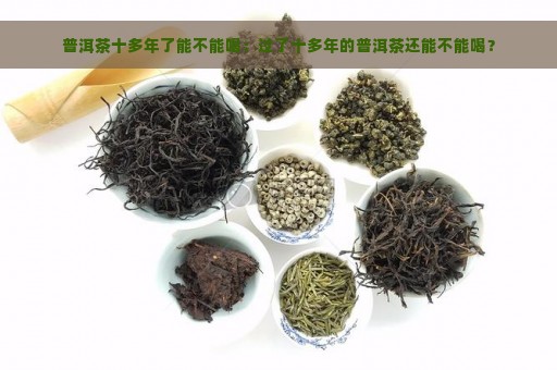 普洱茶十多年了能不能喝：过了十多年的普洱茶还能不能喝？