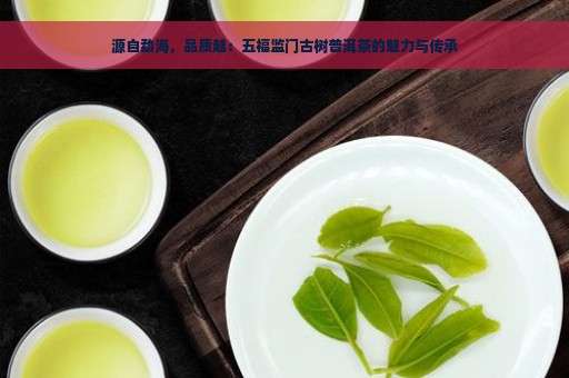 源自勐海，品质越：五福监门古树普洱茶的魅力与传承