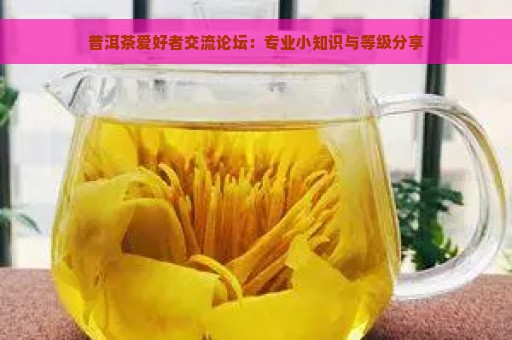 普洱茶爱好者交流论坛：专业小知识与等级分享