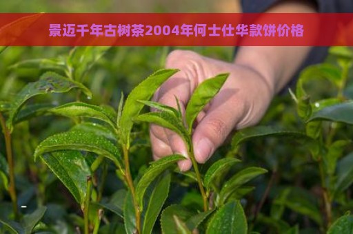 景迈千年古树茶2004年何士仕华款饼价格