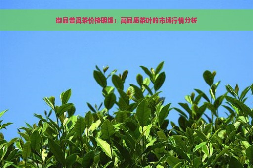 御品普洱茶价格明细：高品质茶叶的市场行情分析