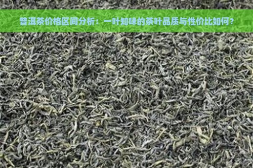 普洱茶价格区间分析：一叶知味的茶叶品质与性价比如何？