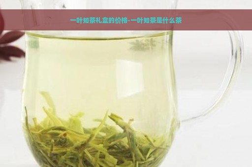 一叶知茶礼盒的价格-一叶知茶是什么茶