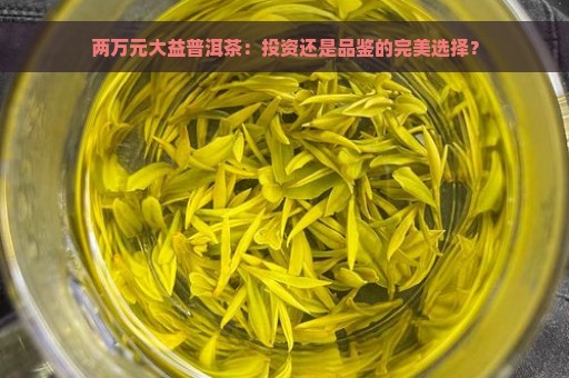 两万元大益普洱茶：投资还是品鉴的完美选择？