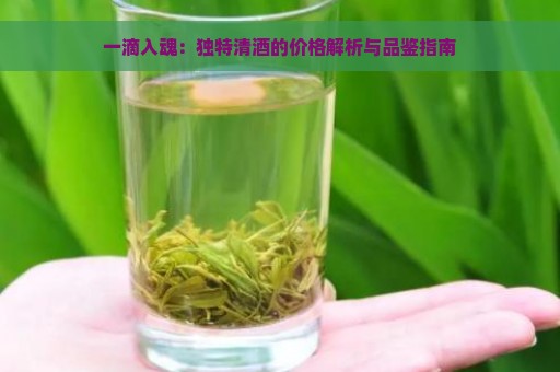 一滴入魂：独特清酒的价格解析与品鉴指南