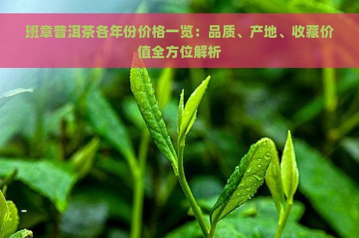 班章普洱茶各年份价格一览：品质、产地、收藏价值全方位解析