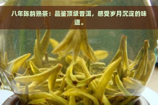 八年陈韵熟茶：品鉴顶级普洱，感受岁月沉淀的味道。