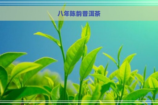 八年陈韵普洱茶