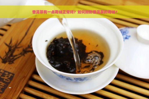 普洱茶有一点霉味正常吗？如何辨别普洱茶的霉味？