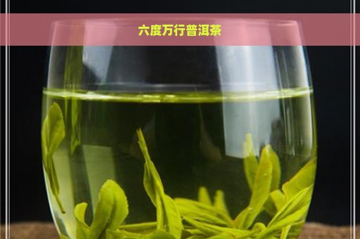 六度万行普洱茶