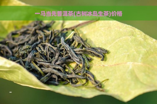 一马当先普洱茶(古树冰岛生茶)价格