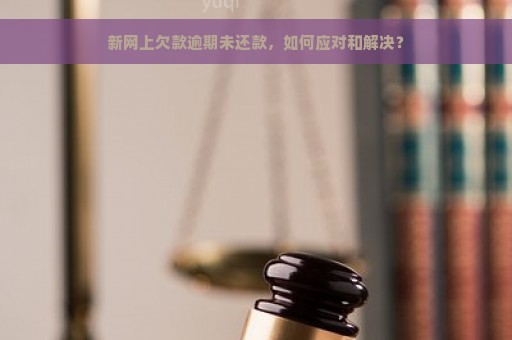 新网上欠款逾期未还款，如何应对和解决？