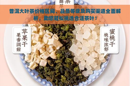 普洱大叶茶价格区间、品质等级及购买渠道全面解析，助您轻松挑选合适茶叶！