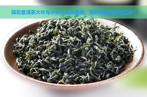 探究普洱茶大叶与小叶的风味差异，哪种更适合您的口味？