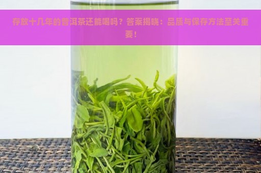 存放十几年的普洱茶还能喝吗？答案揭晓：品质与保存方法至关重要！