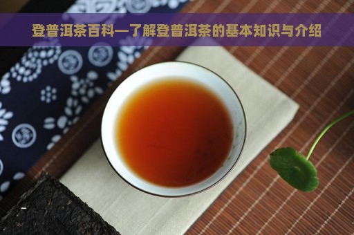 登普洱茶百科—了解登普洱茶的基本知识与介绍